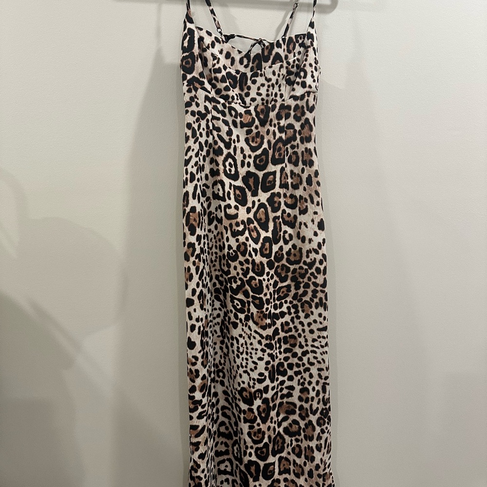 Zara Leopard Print Maxi Dress